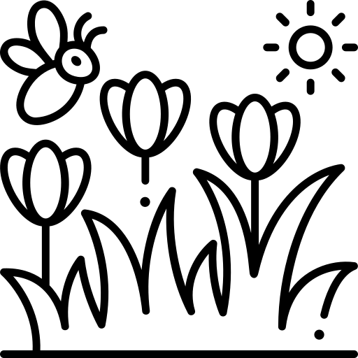 fleurs.webp